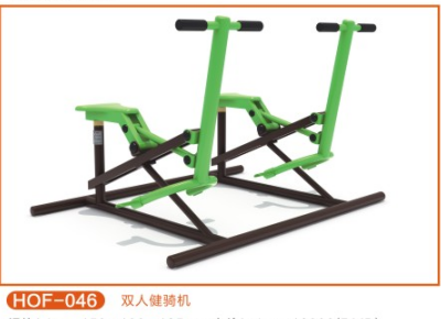 雙人健騎機